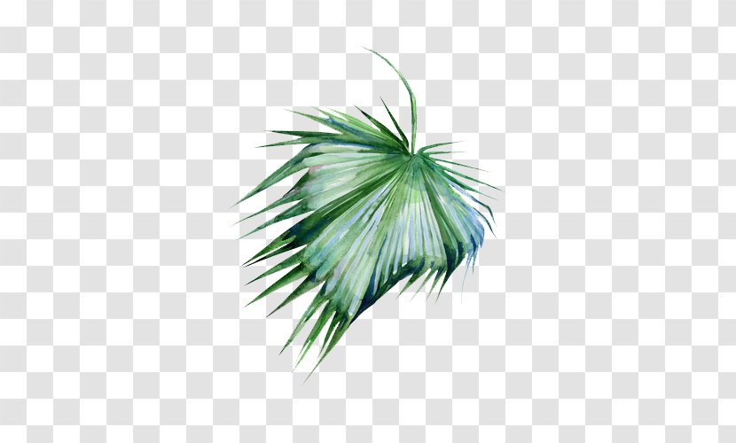 Shared Resource Overlay Pineapple Join - Plant - Tree Transparent PNG