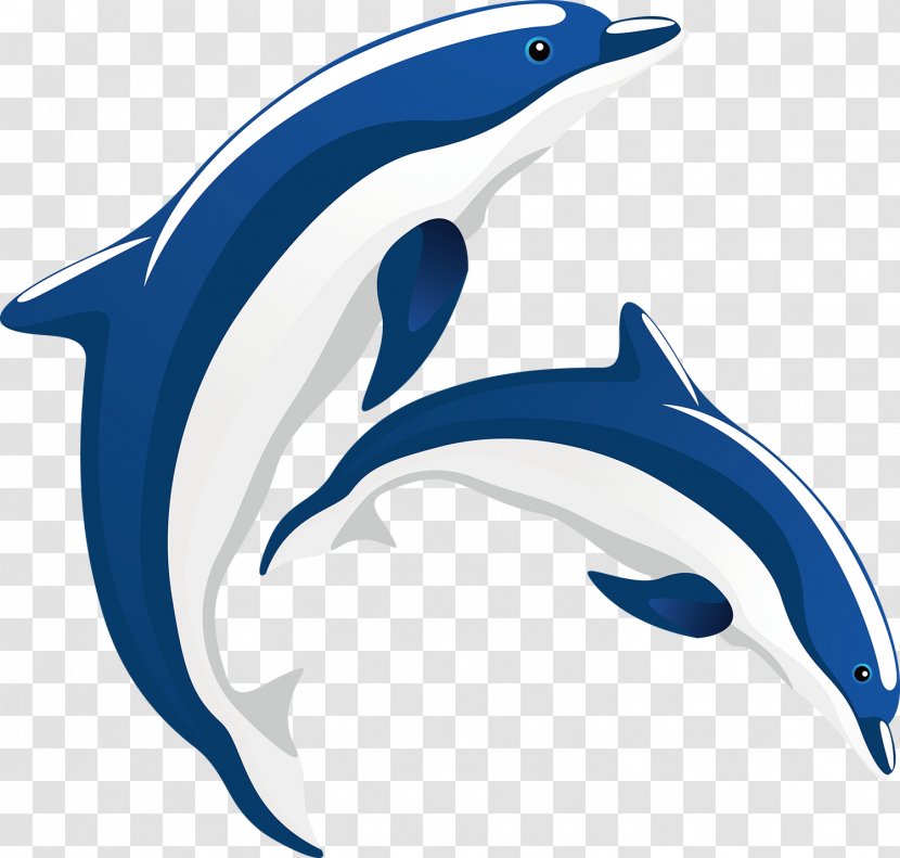 Common Bottlenose Dolphin Tucuxi Short-beaked Painting - Cartoon Transparent PNG