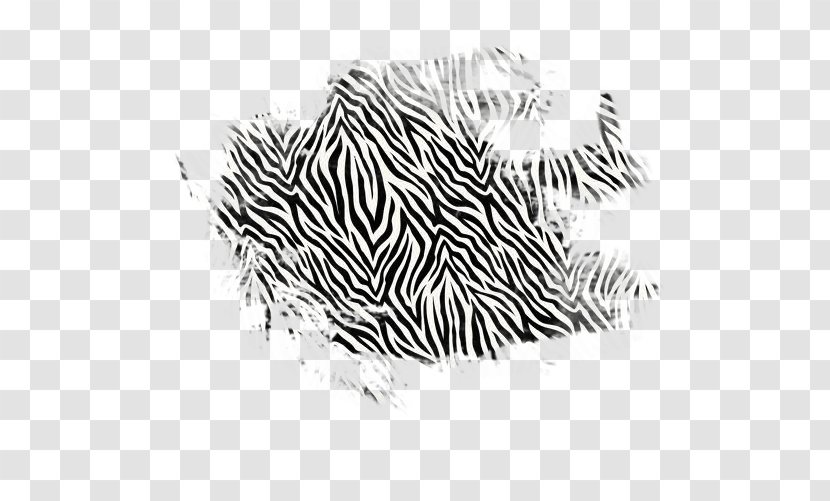 Zebra Tiger Cat Animal Print Pattern Transparent PNG