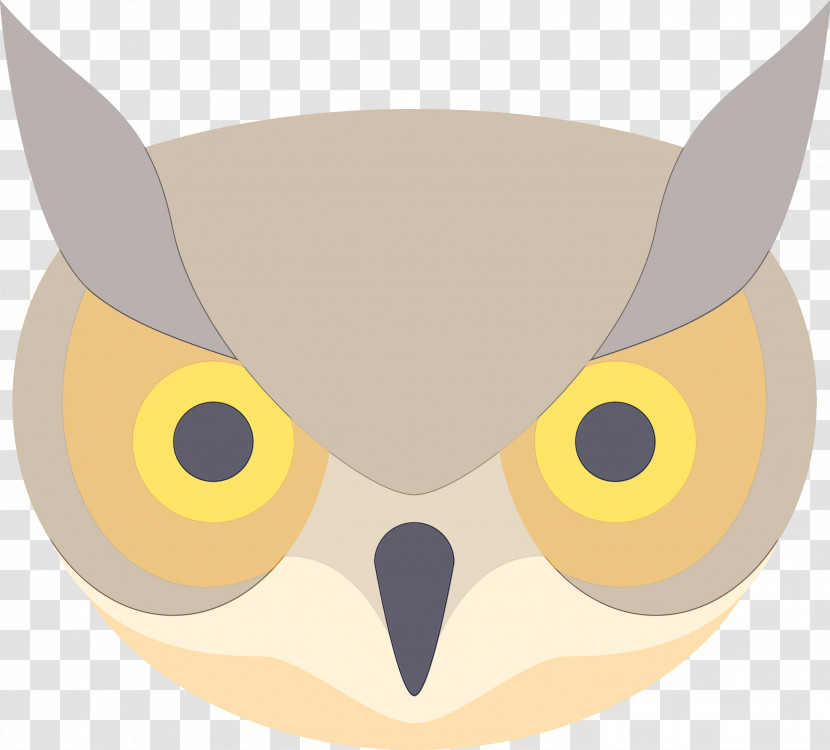 Owl Bird Of Prey Bird Snout Transparent PNG