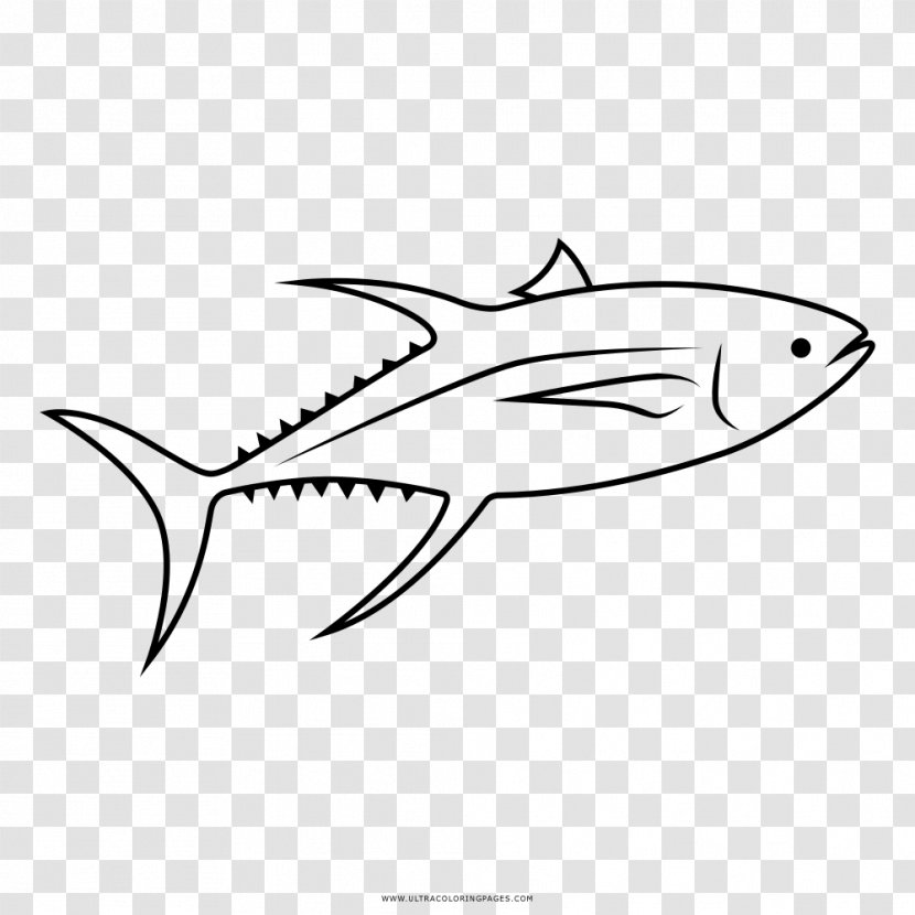 Coloring Book Drawing Sushi Atlantic Bluefin Tuna Albacore - Fish Transparent PNG