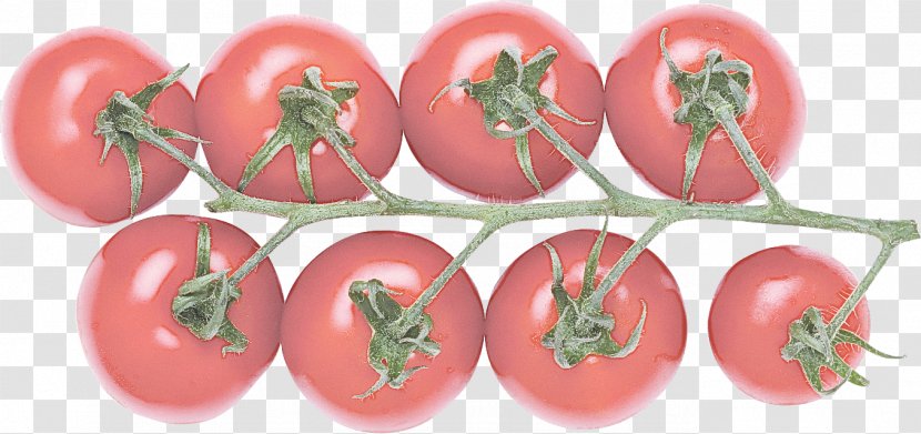 Tomato - Plum - Food Nightshade Family Transparent PNG