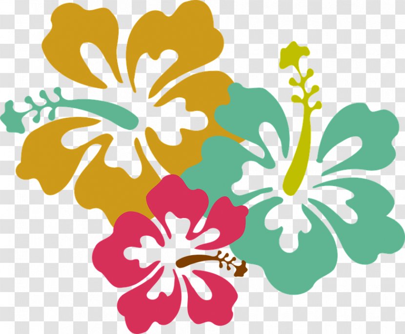 Hawaiian Drawing Clip Art - Malvales - Flower Transparent PNG