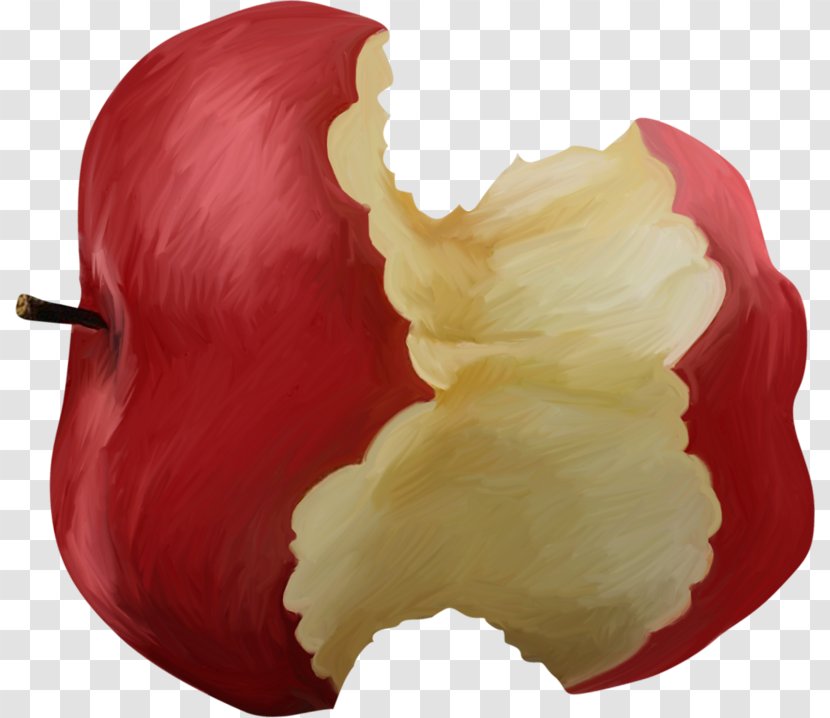 Apple Photography Clip Art - Gnawed Transparent PNG