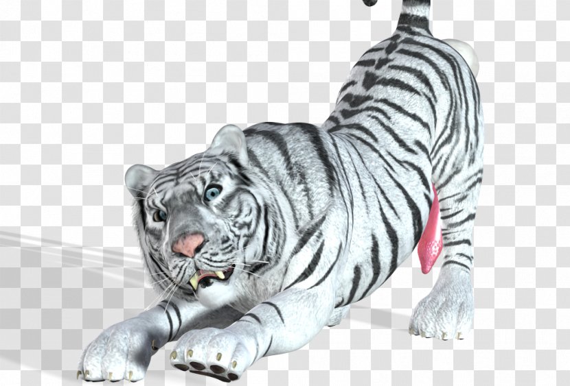 Cat Tiger Wildlife Mammal - Terrestrial Animal - White Transparent PNG