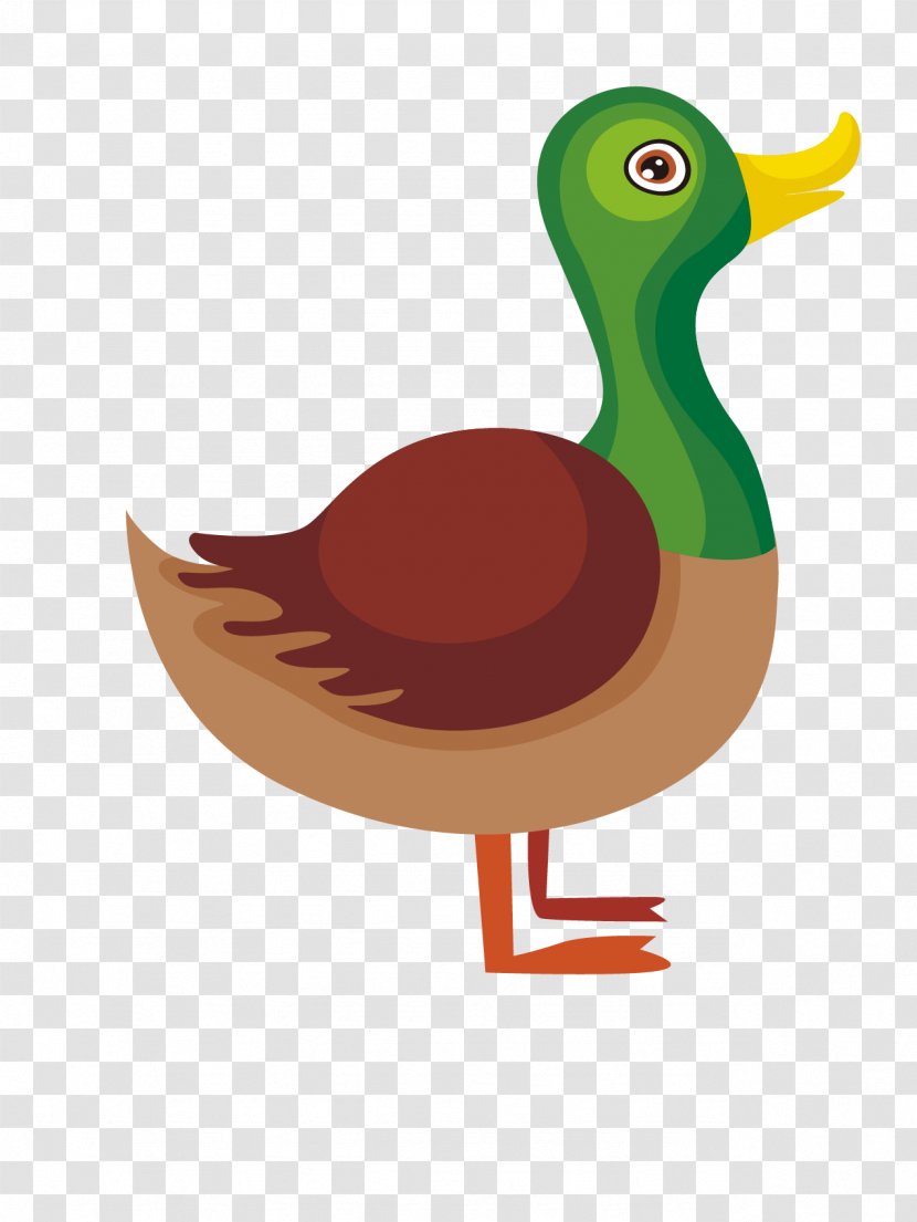 Alphabet Letter - Water Bird - Cartoon Duck Transparent PNG