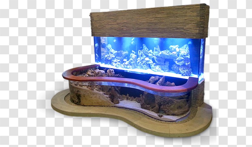 Siamese Fighting Fish ZeroEdge Aquarium Corporation Reef Poly - Nano Transparent PNG