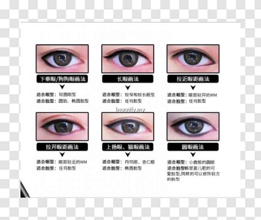 Eye Liner Shadow Eyebrow Color - Tree Transparent PNG