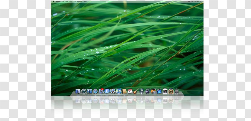 Laptop MacBook Desktop Wallpaper Computers - Ultrahighdefinition Television - Mac OS X Leopard Transparent PNG