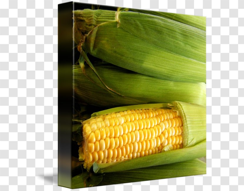 Corn On The Cob Sweet Maize Natural Foods - Drawing Transparent PNG