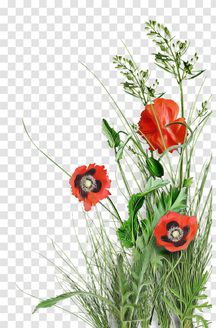 Floral Design Transparent PNG