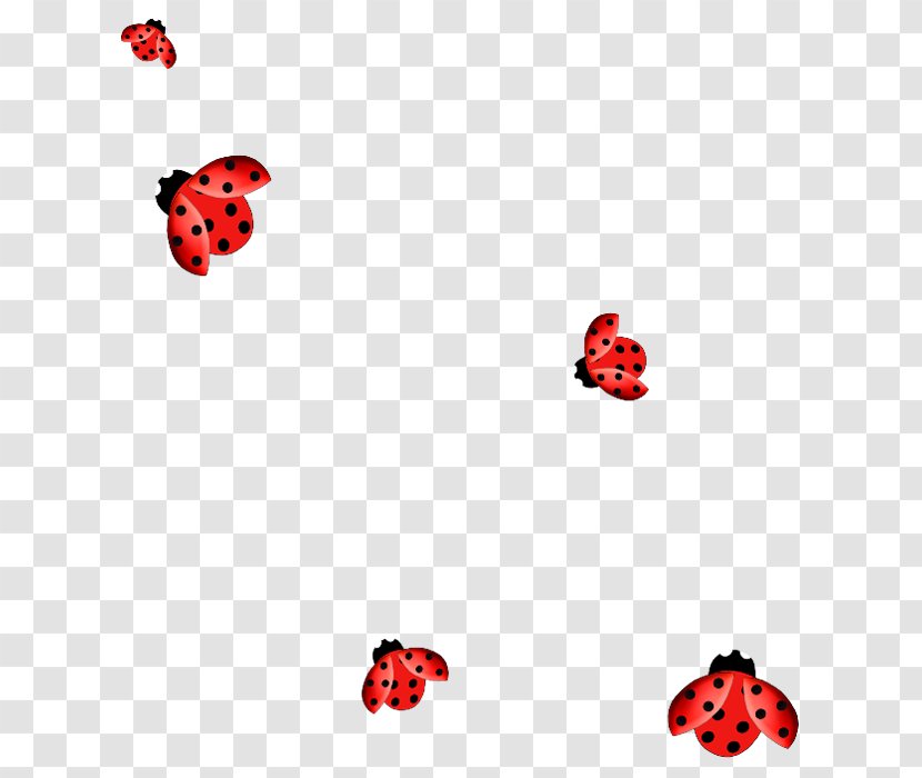 Ladybird Beetle Clip Art - Ladybug Transparent PNG