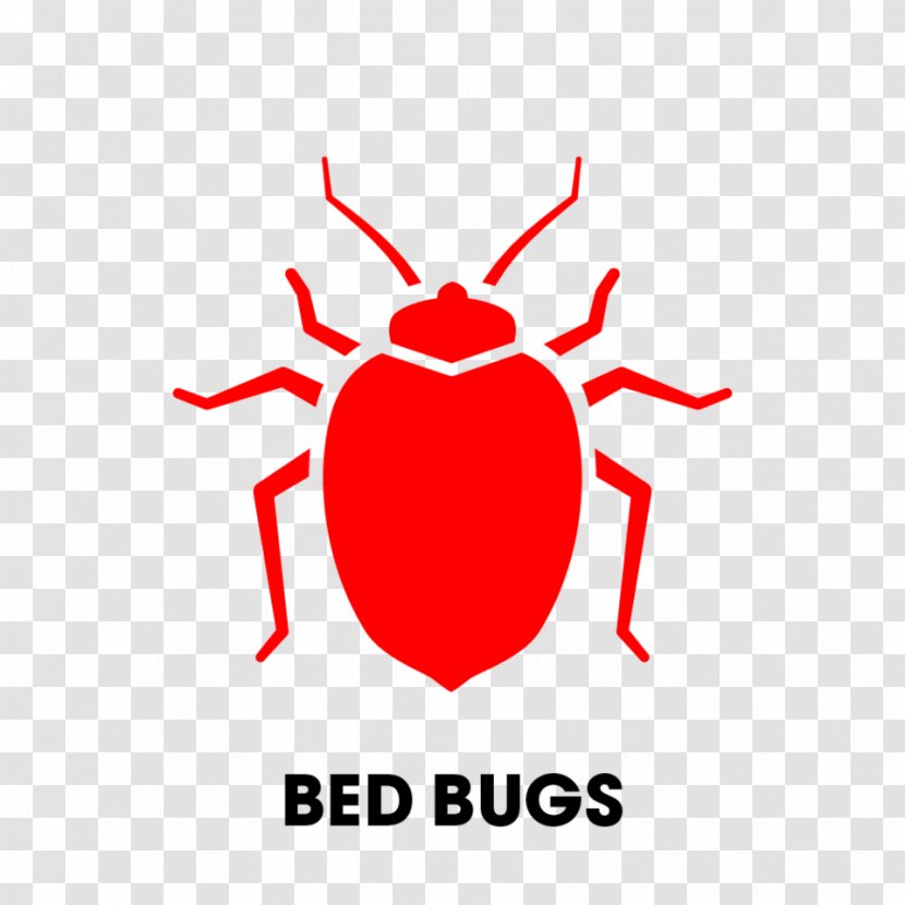 Cockroach Bed Bug Control Techniques Pest Bite - Flower Transparent PNG