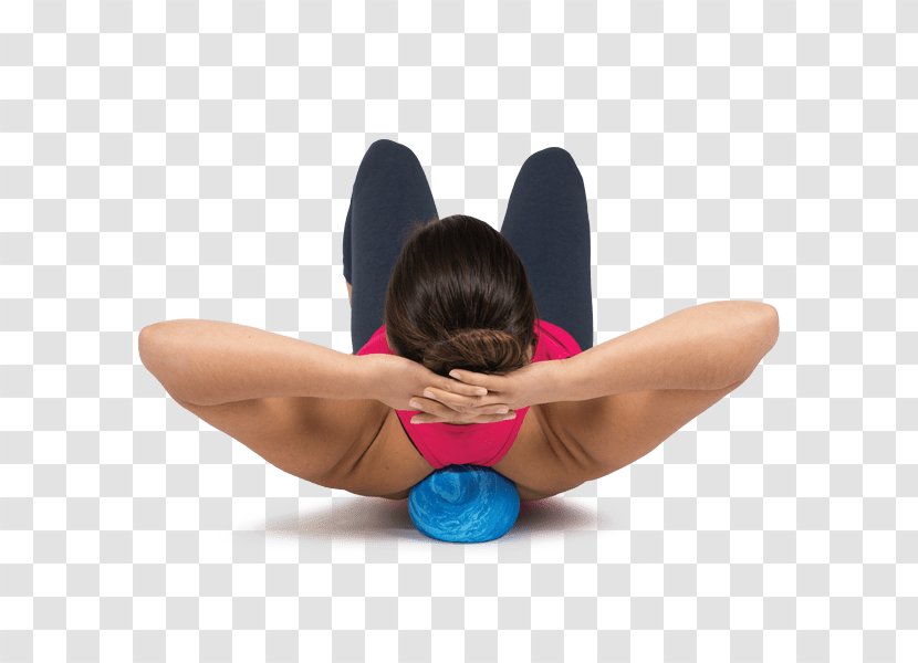 Ball Fascia Training Myofascial Release Exercise Massage - Cartoon Transparent PNG
