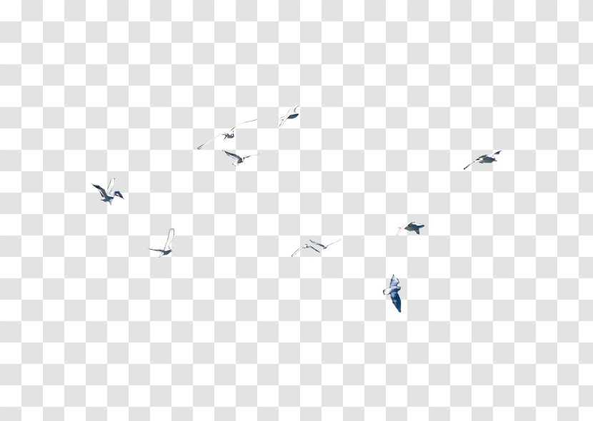 Black And White Line Point Angle - Flock Of Birds Transparent PNG
