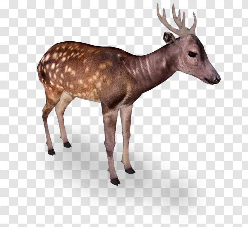 Zoo Tycoon 2 Reindeer Elk White-tailed Deer - Animal Transparent PNG