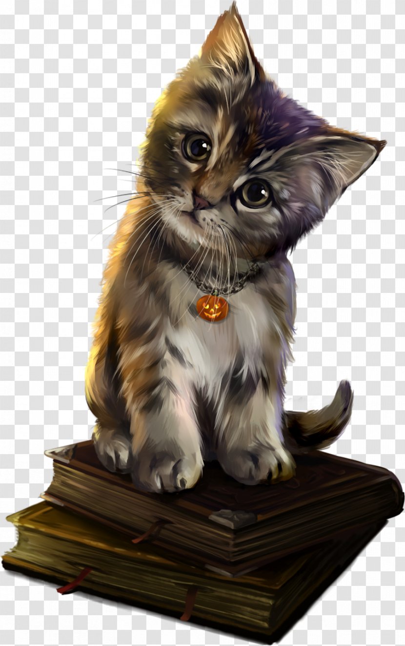 Magic Cat Academy Kitten Halloween Black Savannah Transparent PNG