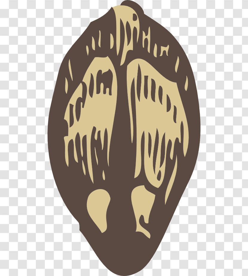Sunflower Seed Clip Art - Logo - Seeds Transparent PNG
