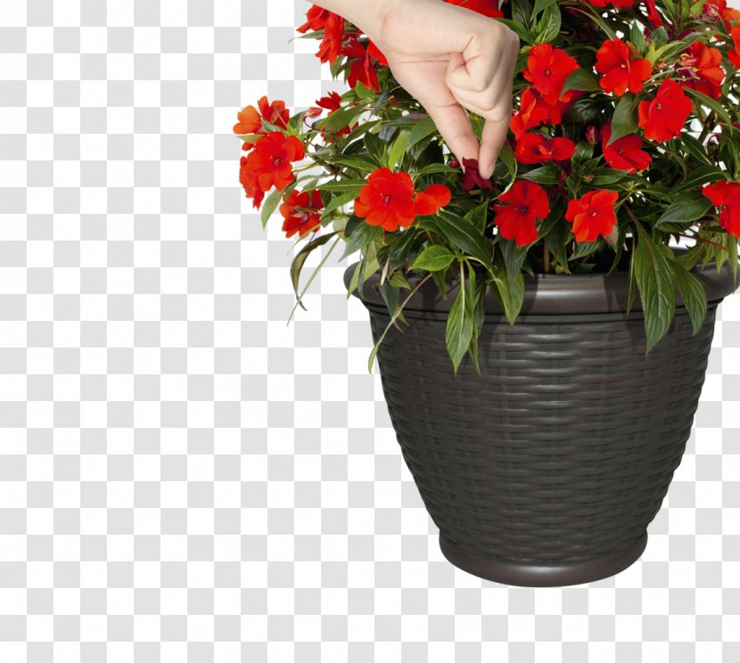 Floral Design Container Garden Cut Flowers Vase - Flowering Plant Transparent PNG