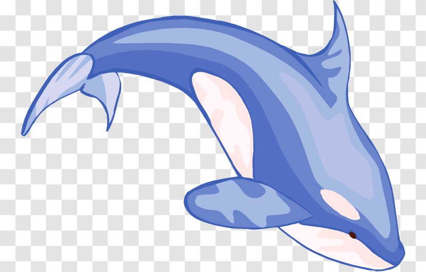 Blue Whale Beluga Clip Art Transparent PNG