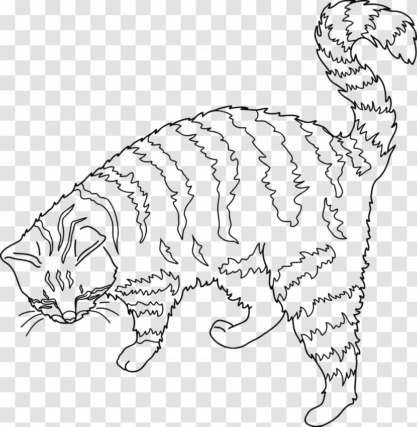 Tabby Cat Kitten Whiskers Domestic Short-haired Wildcat - Vertebrate - Retina Clipart Transparent PNG