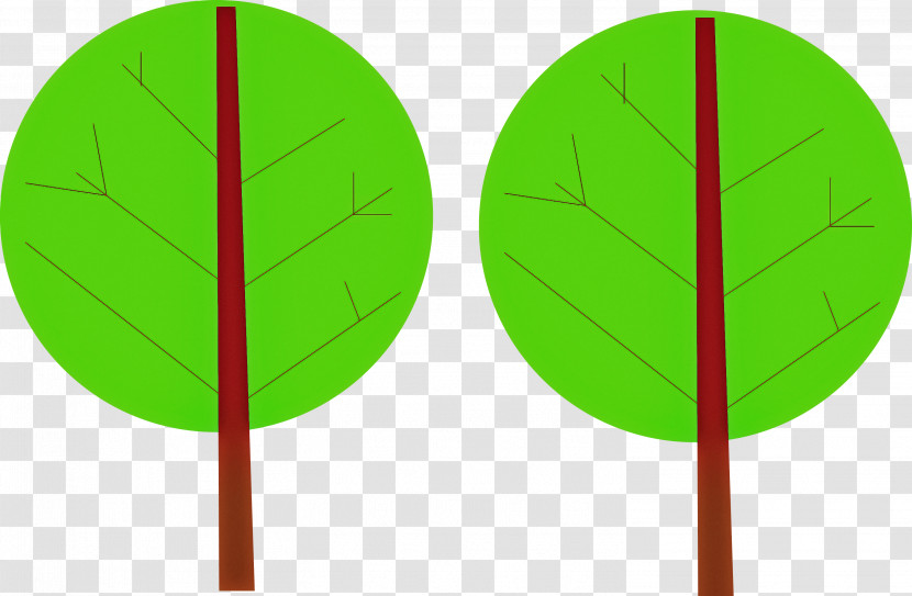 Leaf Green Meter Line Biology Transparent PNG