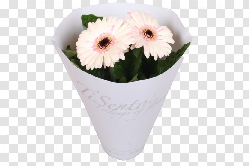 Cut Flowers Transvaal Daisy Floristry Flowerpot - Color - Gerbera Transparent PNG