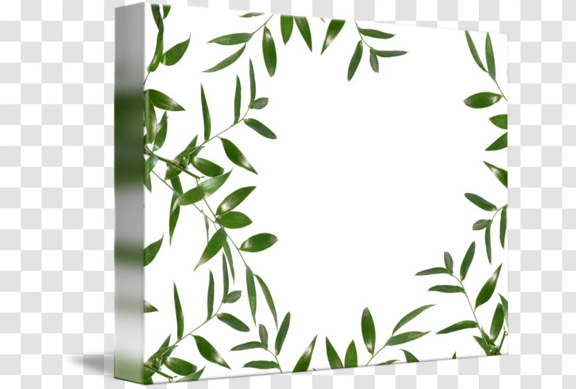 Twig Leaf Plant Stem Picture Frames - Grass Transparent PNG