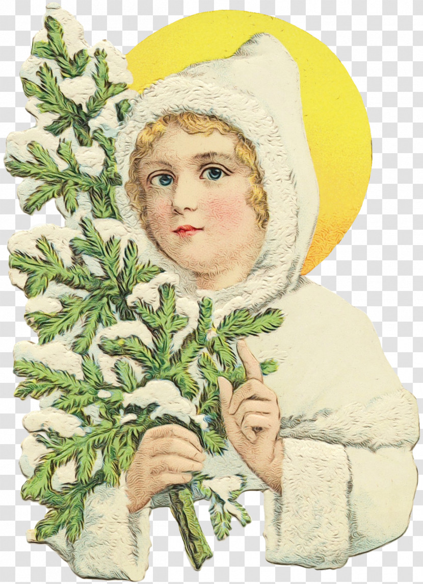 Holly Transparent PNG