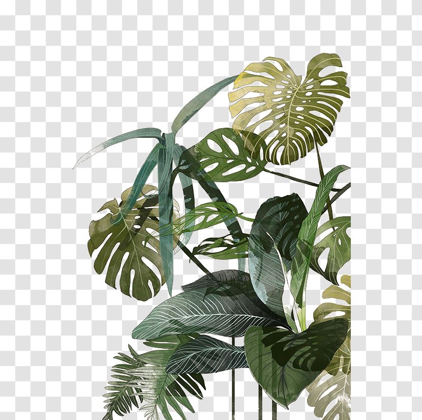 Botanical Illustration Drawing Watercolor Painting Tropics - Flowering Plant - Palm Leaf Transparent PNG