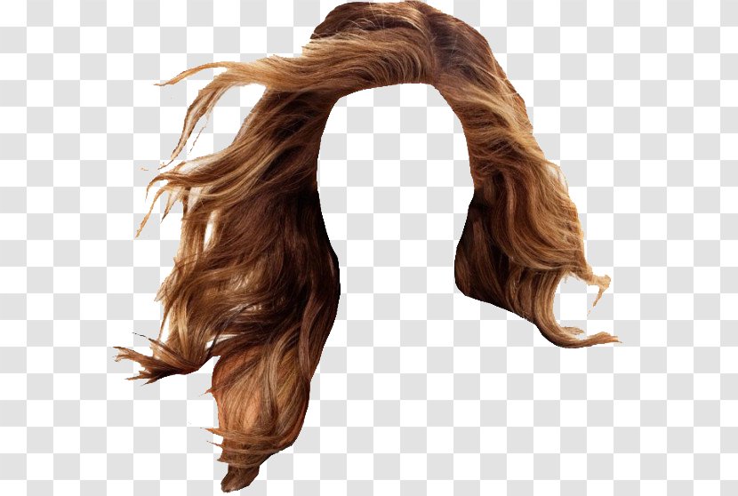 Wig Brown Hair Hairstyle - Human Color Transparent PNG