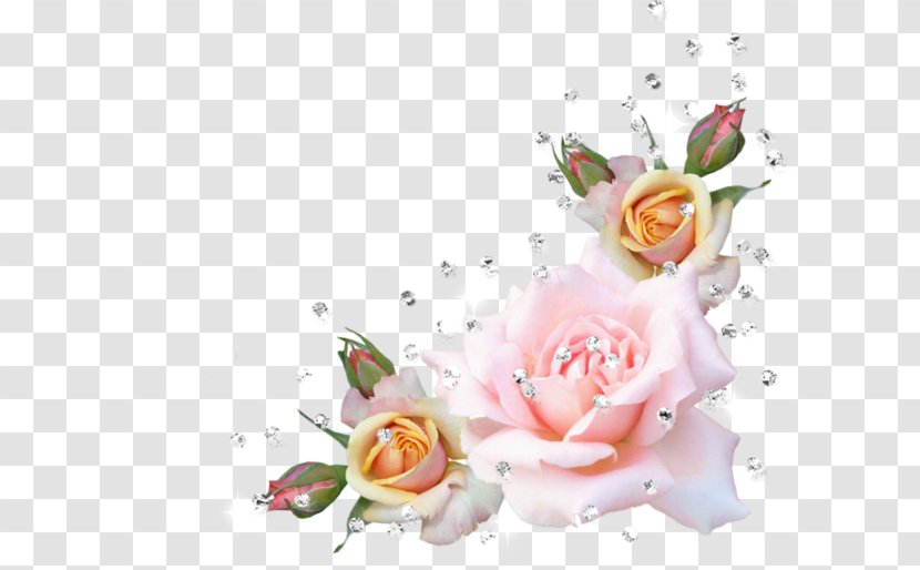 Rose Drawing Clip Art - Still Life Photography - Corner Flower Transparent PNG