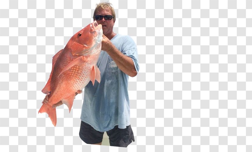 09777 T-shirt Salmon Northern Red Snapper Fishing Transparent PNG