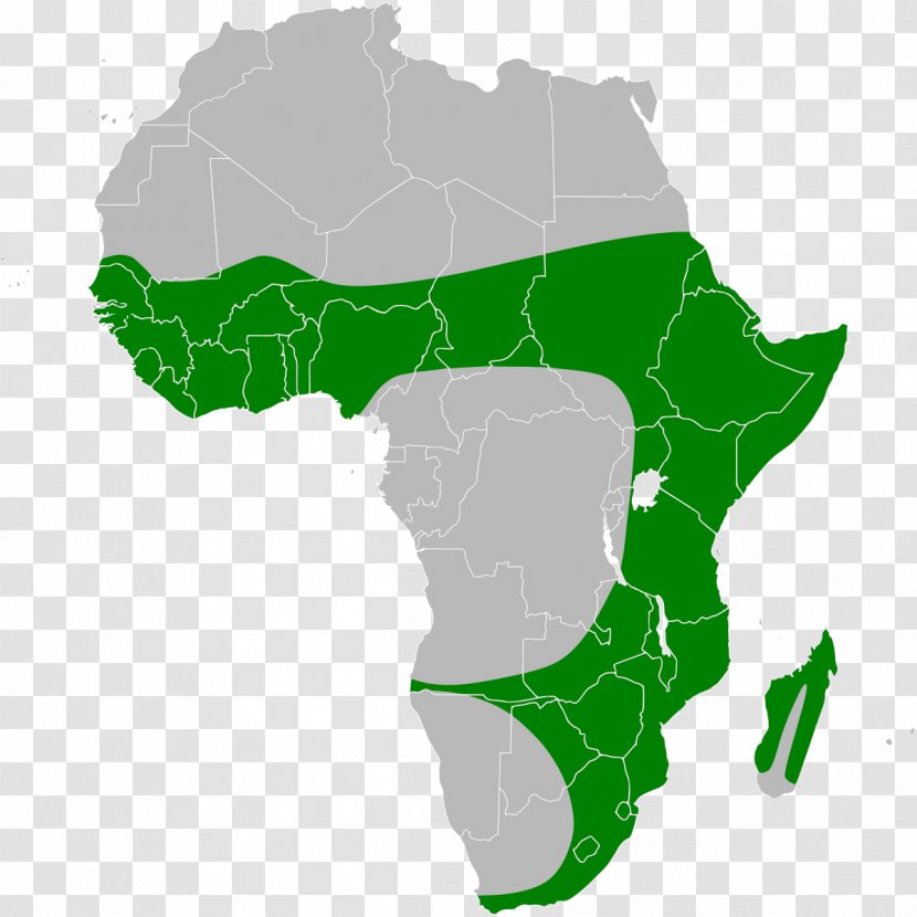 Africa World Map - Grass Transparent PNG