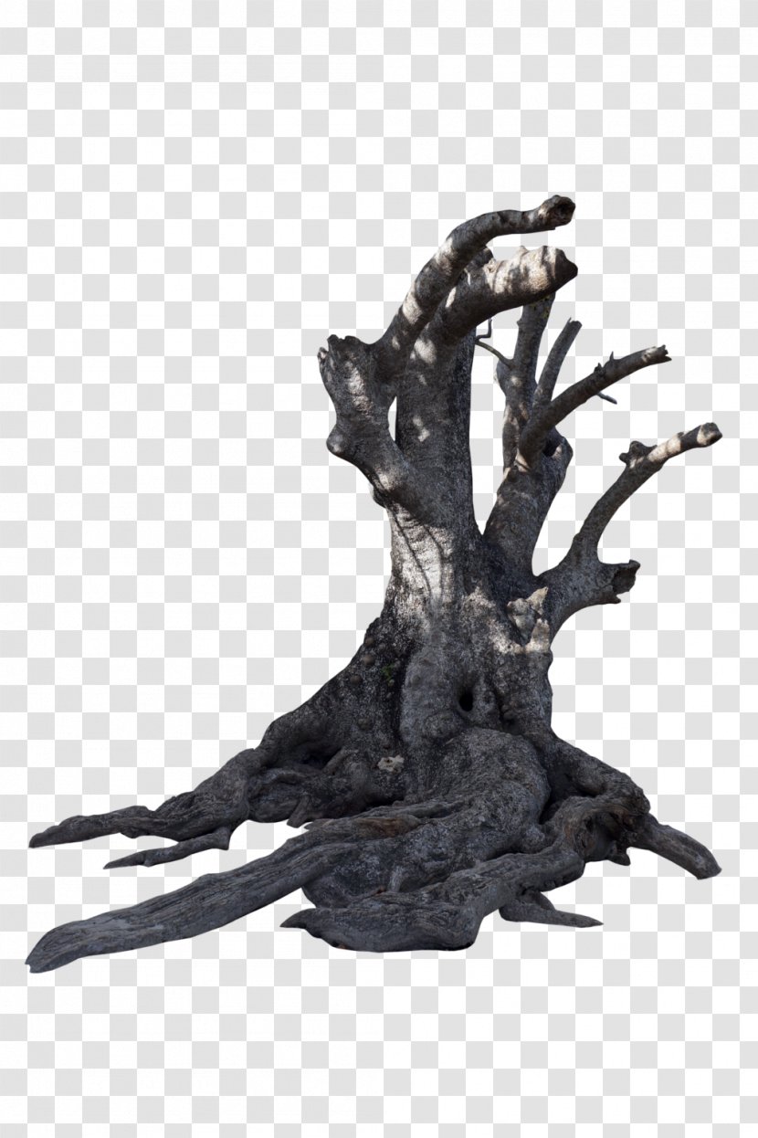 Trees - Branch - Sculpture Transparent PNG