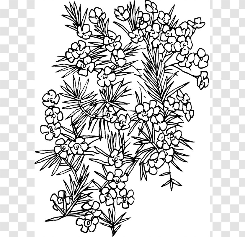 Floral Design Visual Arts Pattern - Symmetry - Black And White Transparent PNG