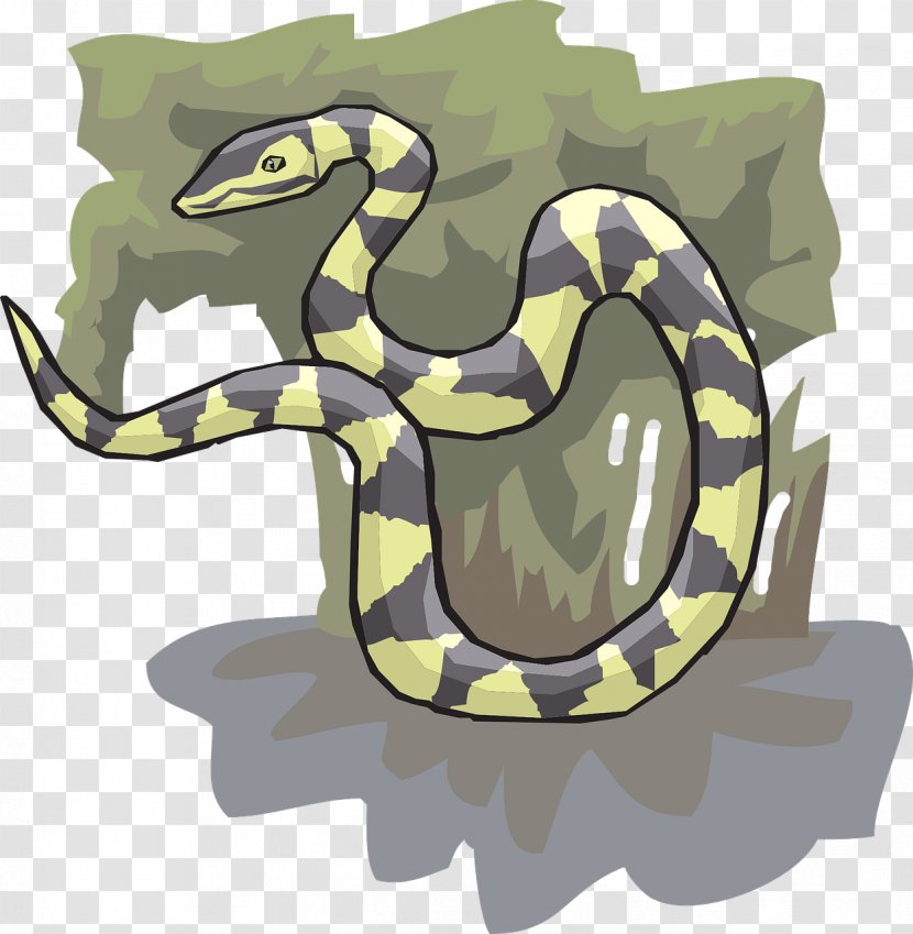 Snake Reptile Tree Ahaetulla Clip Art Transparent PNG