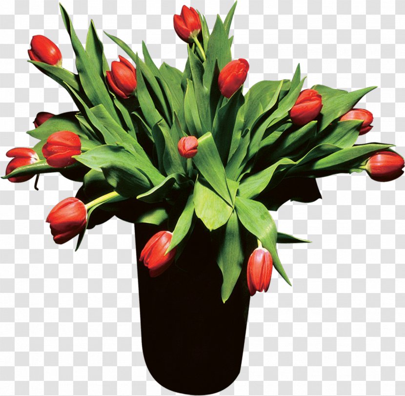 Flower Poster - Flowerpot - Tulip Transparent PNG