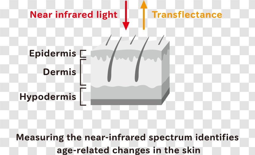Near-infrared Spectroscopy Water - Diagram Transparent PNG