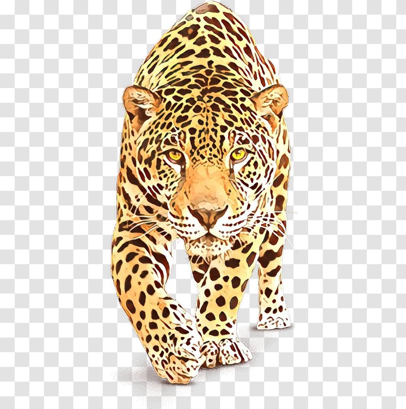 Terrestrial Animal Wildlife Jaguar African Leopard Figure - Snout - Big Cats Transparent PNG