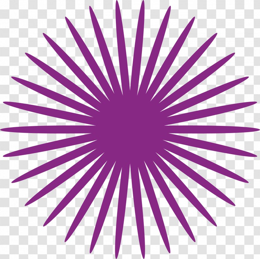 Purple Vector Circle - Grey - Violet Transparent PNG