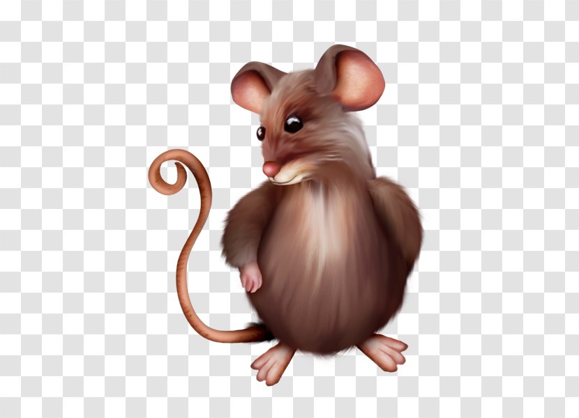 Computer Mouse Rat Clip Art - Pest Transparent PNG