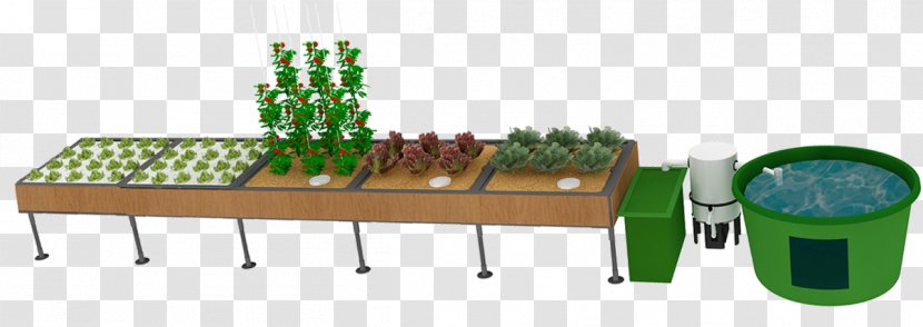 Diy Aquaponics: The Definitive How To Guide Grow Premium Food Wherever And Whenever You Want Aquaponic Gardening: A Step-By-Step Raising Vegetables Fish Together Hydroponics System - Green Wall - Hydroponic Boxes For Transparent PNG