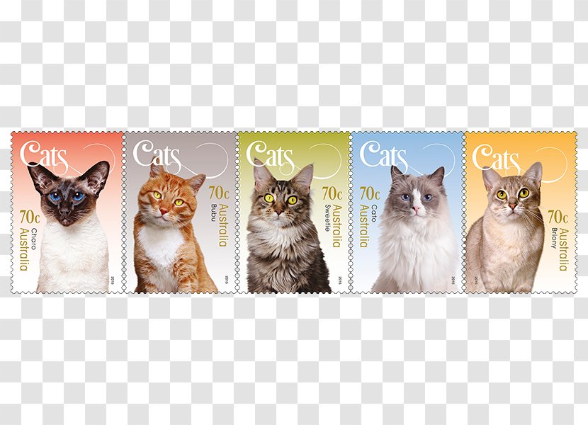Kitten Postage Stamps Australia Philately Stamp Collecting - Carnivoran - Wanted Transparent PNG