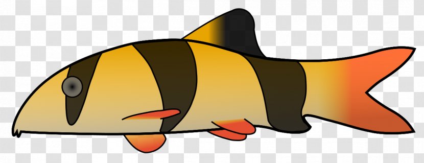 Clown Loach Fish Clip Art - Artwork - Pictures Transparent PNG