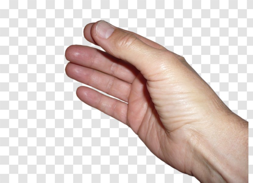 Thumb GIMP Hand - Finger Transparent PNG