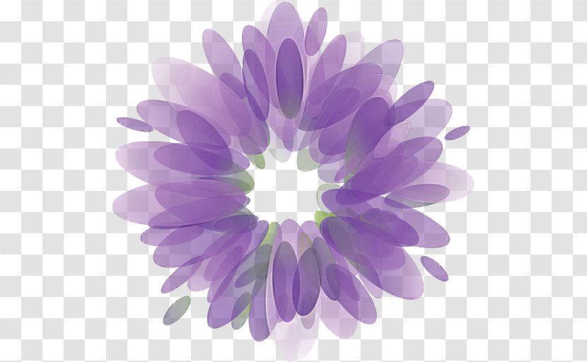 Lavender - African Daisy - Aster Transparent PNG