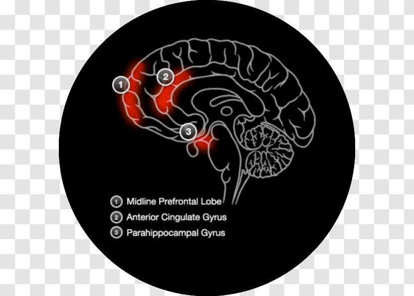 Prospective Memory Brain Cognitive Training Improvement - Cartoon Transparent PNG