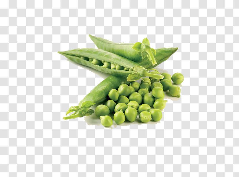 Pea Food Vegetable Legume Protein - Seed Transparent PNG