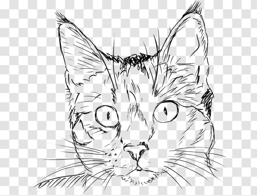 Cat Kitten Drawing Illustration - Watercolor Transparent PNG